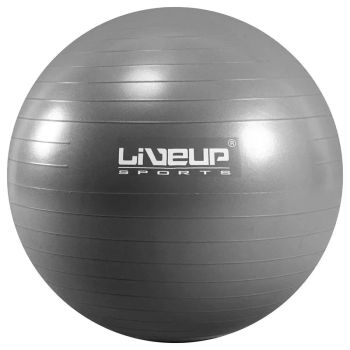 Gym Ball 85 cm — foto de referência