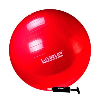 Gym Ball premium 45 cm — foto de referência