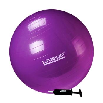 Gym Ball premium 55 cm — foto de referência
