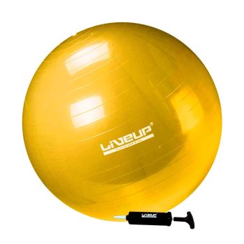 Gym Ball premium 75 cm — foto de referência