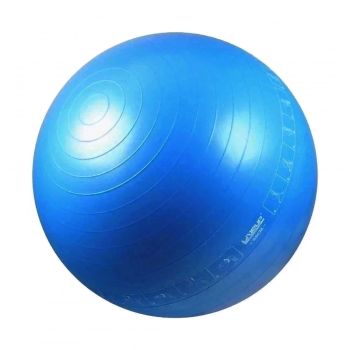 Gym Ball 65 cm com ilustração — foto de referência